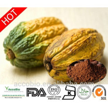 Supplément de perte de poids Extrait de cacao Théobromine 10% 20%